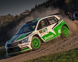 SKODA FABIA 2014-