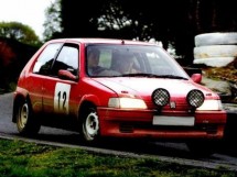 Peugeot 106 Multi Point Bolt-in Roll Cage